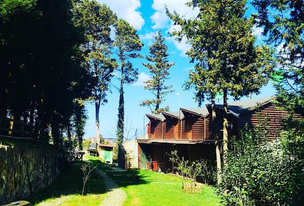 Ağva Orman Evleri - Forest Lodge - Görsel 6