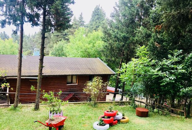 Ağva Orman Evleri - Forest Lodge - Görsel 7