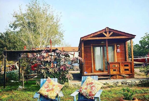 Sural Çiftliği - Görsel 38