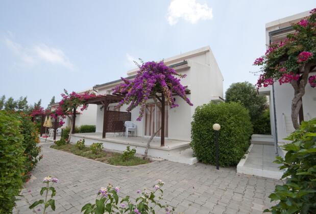 Citrus Tree Gardens - Görsel 4