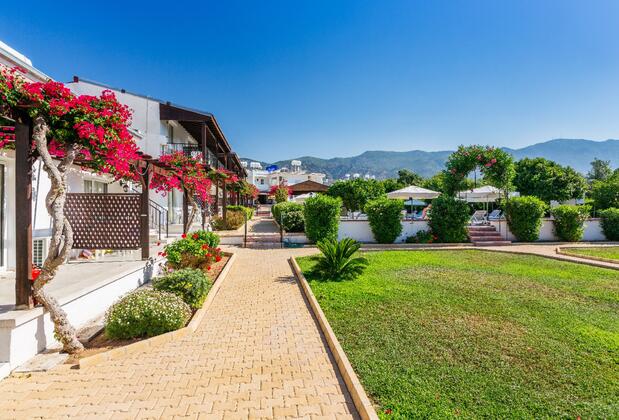 Citrus Tree Gardens - Görsel 6