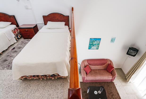 Citrus Tree Gardens - Görsel 8