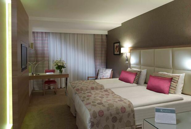 Kaya İzmir Thermal & Convention - Görsel 11