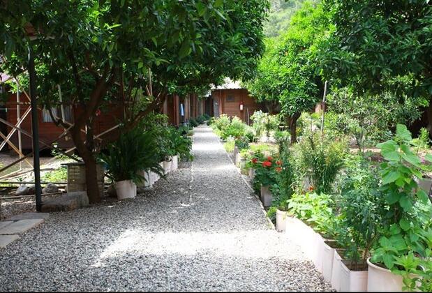 Olympos Doğa Pansiyon - Görsel 8