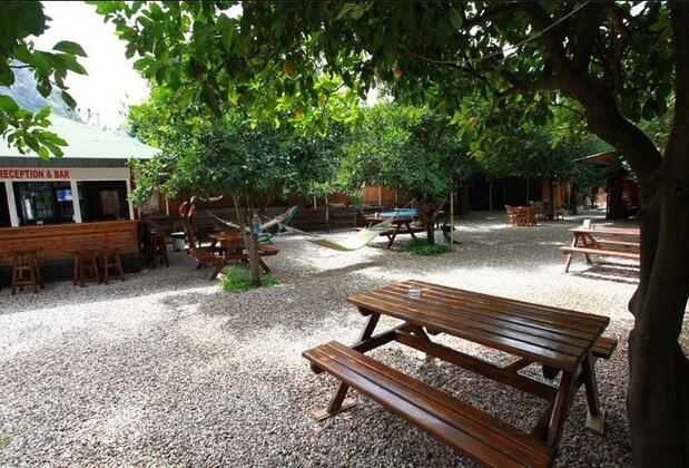 Olympos Doğa Pansiyon - Görsel 7