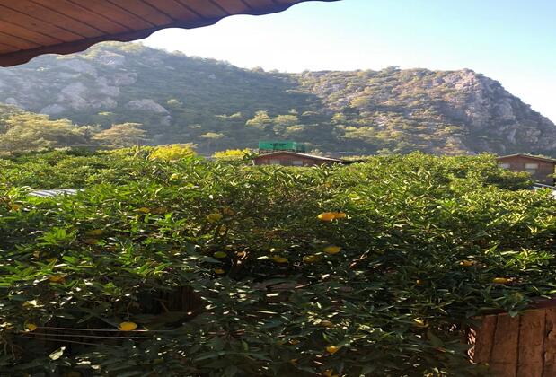 Olympos Varuna Pansiyon - Görsel 9