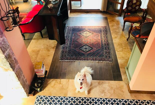 Villa Bakacak - Görsel 5