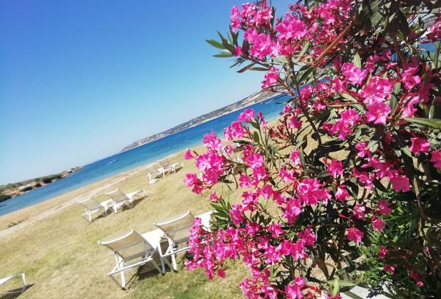 Ege Otel Çeşme - Görsel 7