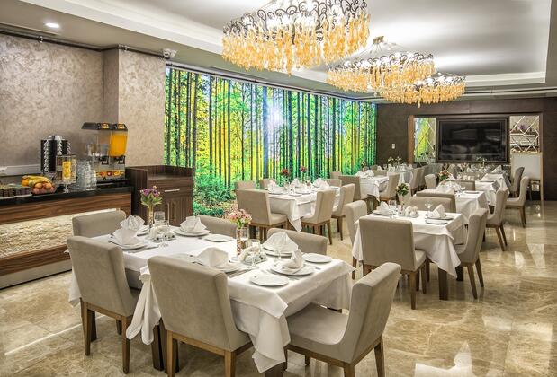 The Conforium Hotel - Görsel 8