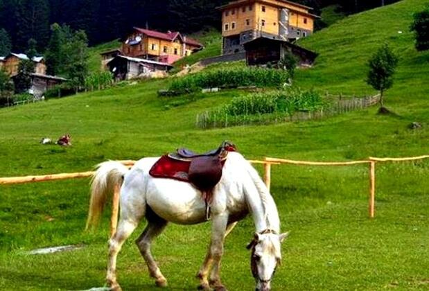 Kaçkar Resort - Görsel 19