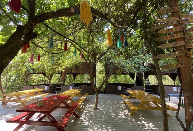 Olympos Çamlık Pansiyon - Görsel 3