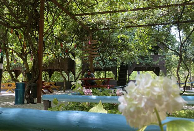 Olympos Çamlık Pansiyon - Görsel 4