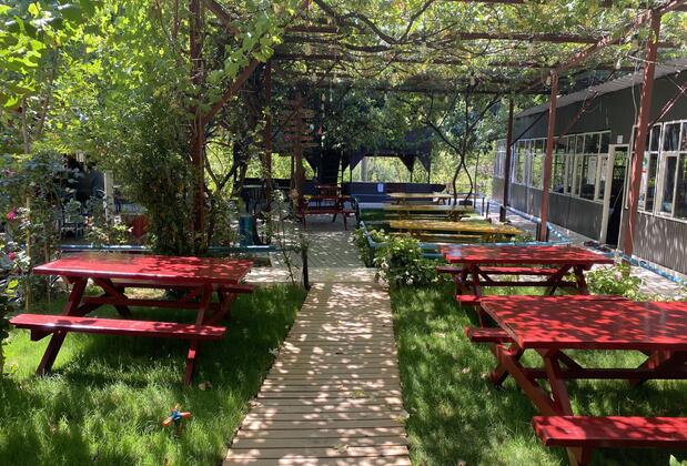 Olympos Çamlık Pansiyon - Görsel 7