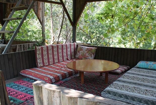 Olympos Çamlık Pansiyon - Görsel 12