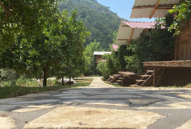 Olympos Çamlık Pansiyon - Görsel 15