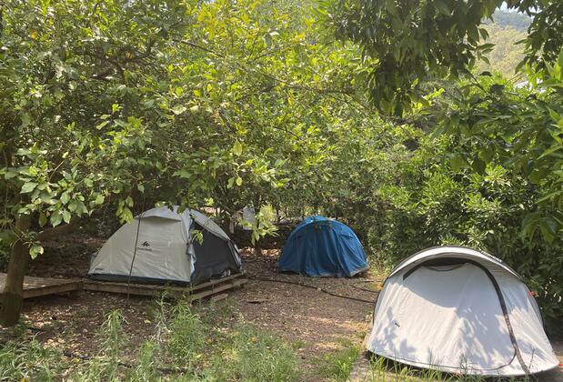 Olympos Çamlık Pansiyon - Görsel 16