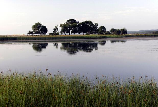 İğneada Resort Hotel & Spa - Görsel 7