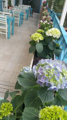 Adana City Butik Hotel - Görsel 8