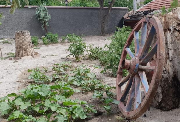 Grape Village House - Görsel 7