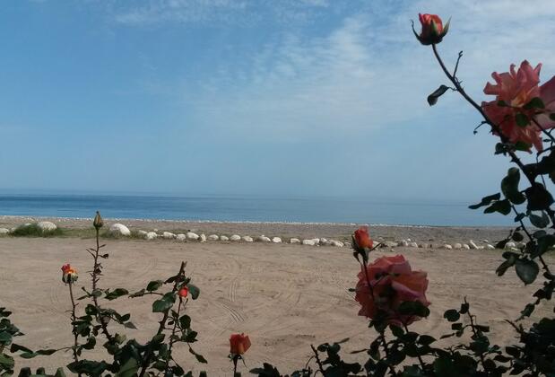 Hotel Yavuz Bungalow - Görsel 20