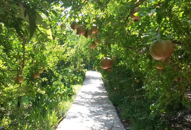 Hotel Yavuz Bungalow - Görsel 7