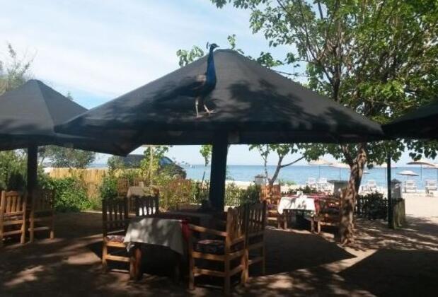 Hotel Yavuz Bungalow - Görsel 18