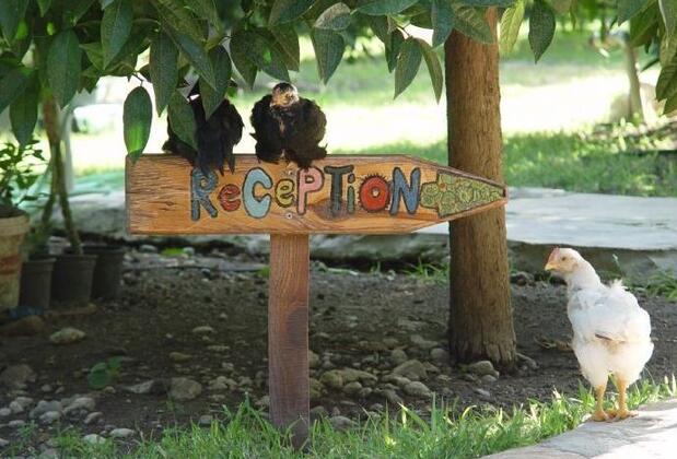 Hotel Yavuz Bungalow - Görsel 23