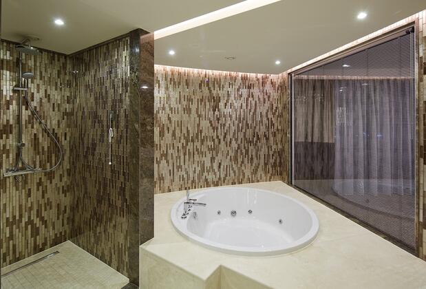 Pullman İstanbul Airport Hotel & Convention Center - Görsel 20