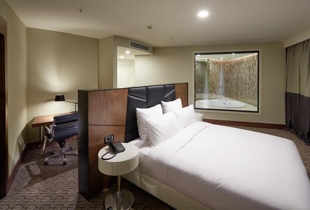 Pullman İstanbul Airport Hotel & Convention Center - Görsel 8