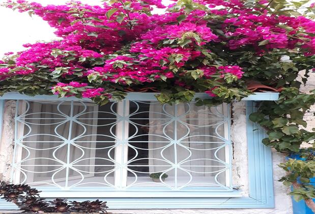 Alaçatı Frida Butik Hotel - Görsel 5