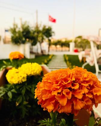 Cunda Aday Otel - Görsel 3