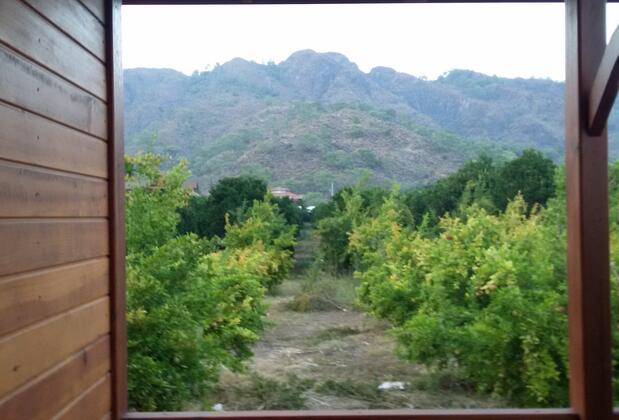 Granate Garden - Görsel 3