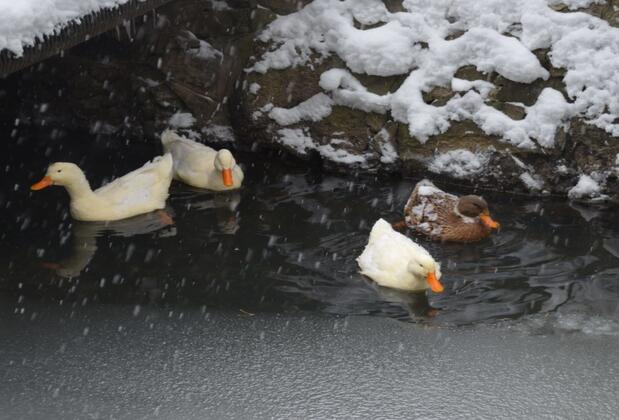 YaylaMoCamp - Görsel 46