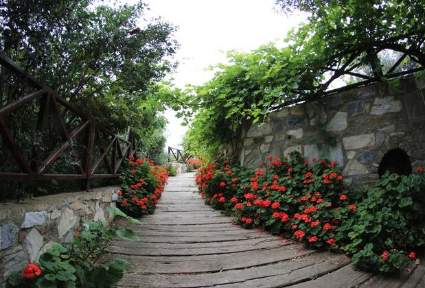 Şirincem Saklı Vadi - Görsel 9