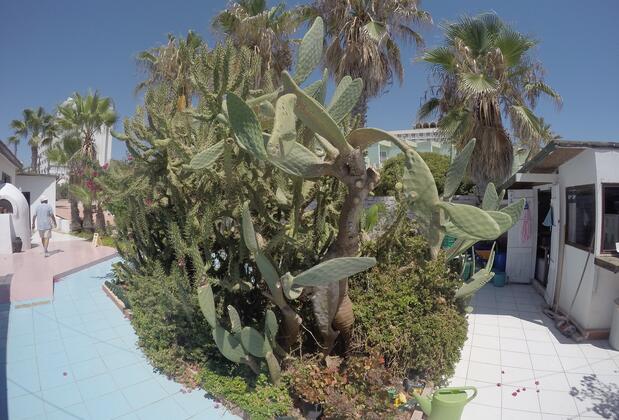 Babutsa Rooms - Görsel 10