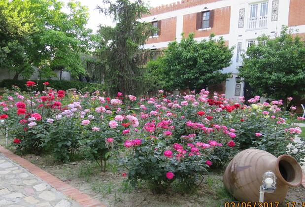 Hotel Kalehan - Görsel 17