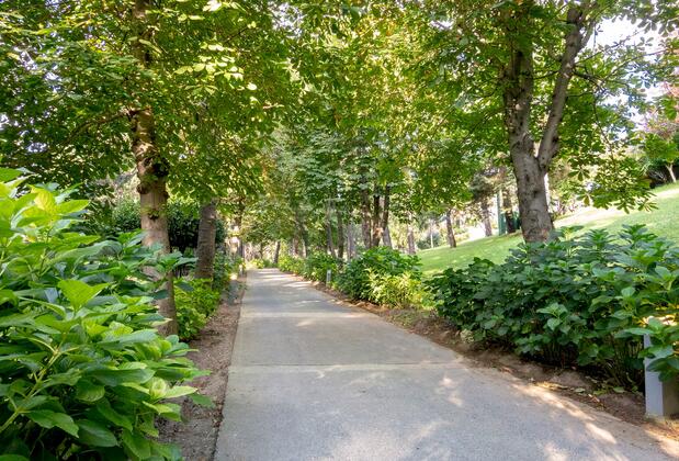 Swissotel The Bosphorus İstanbul - Görsel 18