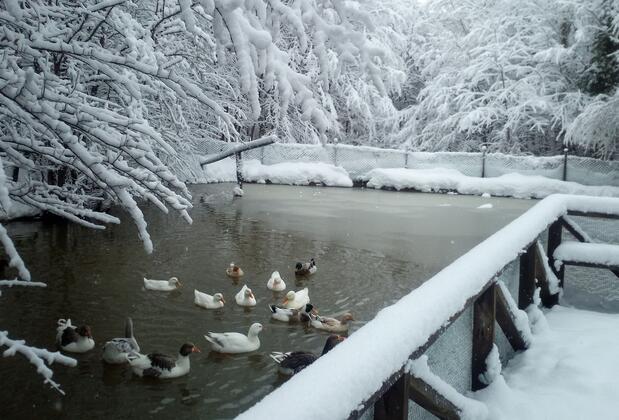 Vonresort Abant - Görsel 9