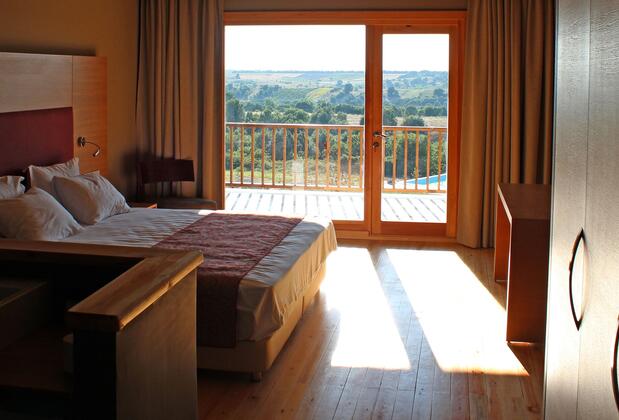 Bakucha Vineyard Hotel & Spa - Görsel 20