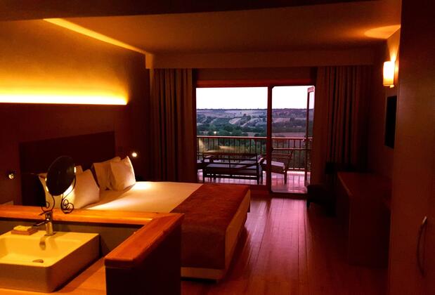 Bakucha Vineyard Hotel & Spa - Görsel 23