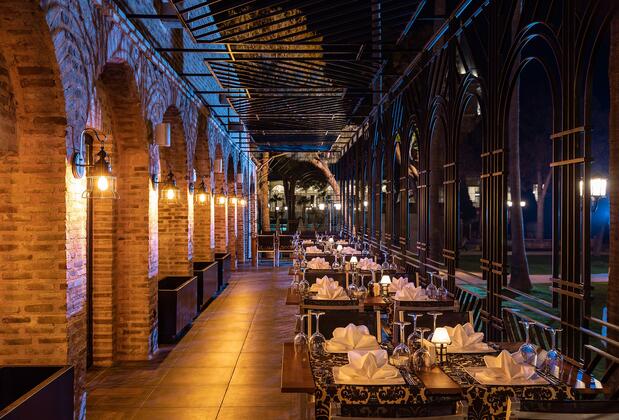 Swandor Hotels & Resorts Topkapı Palace - Görsel 20