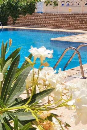 Palmen Apart Otel - Görsel 8