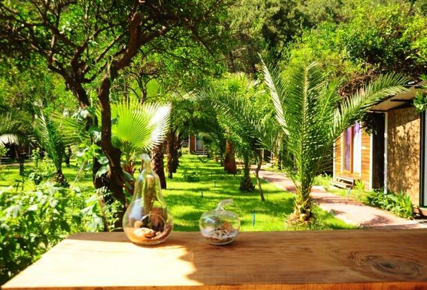 Likya Evleri Olympos - Görsel 3