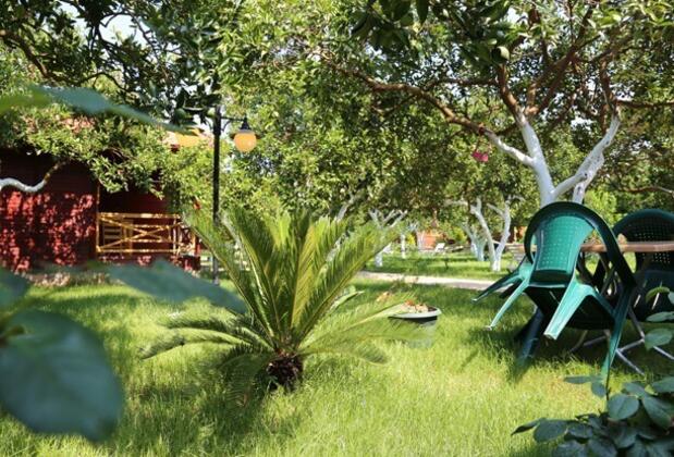 Mercan Bungalow - Görsel 3