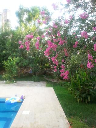 Rahat Apart - Görsel 7