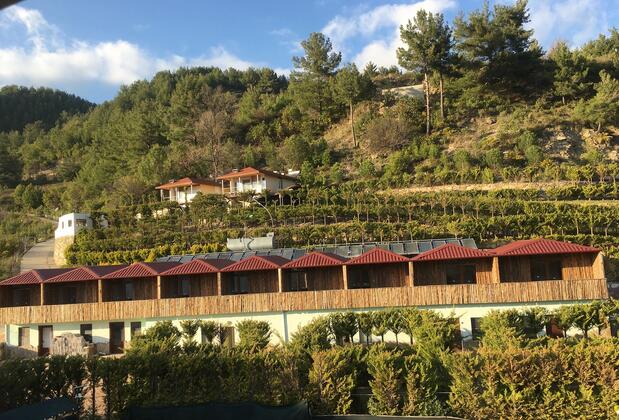 Şifa Tarlası Bungalow - Görsel 13