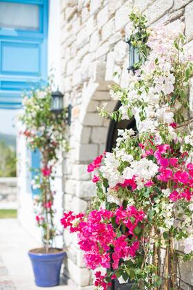 Alaçatı Bellezza Hotel - Görsel 9