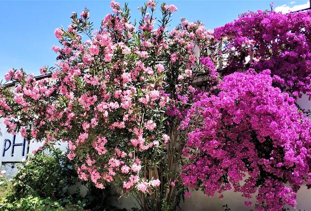 pH Hotel - Görsel 6