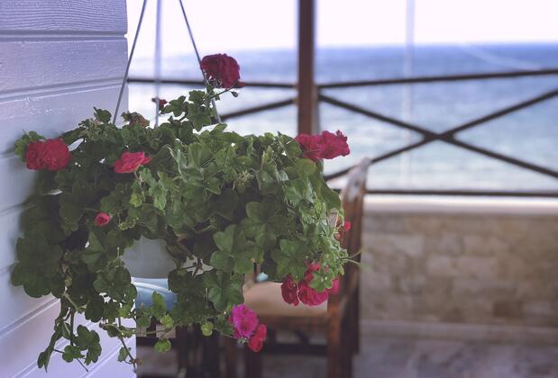 Golden Stone Butik Otel - Görsel 9