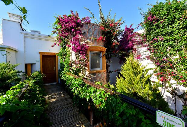 Tropicana Beach Hotel - Görsel 17